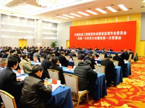 建设工程监理 在中国建设监理协会引领下的高质量发展路径
